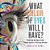 What Color Eyes Will I Have? Predicting Genotypes Using Punnett Squares Predicting-Heredity Grade 6-8 Life Science-.. - Imagem 1