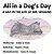 All In A Dog's Day: A Day In The Life Of Mr. Wiggins-.. - Imagem 1