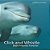 Click And Whistle: Best Friends Forever-.. - Imagem 1