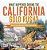 What Happened During The California Gold Rush? History Of The Gold Rush Grade 5 Children's American History-.. - Imagem 1