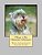 I Want A Pet Miniature Schnauzer: Fun Learning Activities-.. - Imagem 1