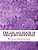 The Life And Death Of King John Shortened: Shakespeare Edited For Length-.. - Imagem 1