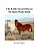 Little Sacred Horses Of Sand Wash Basin-.. - Imagem 1