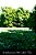 Scholasticism Old And New: An Introduction To Scholastic Philosophy Medieval And Modern-.. - Imagem 1