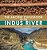 The Ancient Civilization Of The Indus River Indus Civilization Grade 4 Children's Ancient History-.. - Imagem 1