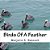 Birds Of A Feather: Book Of Poems For Young Readers. Each Poem Gives A Fact About The Bird In The Poem. -.. - Imagem 1