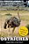 Ostriches: Largest Birds On The Planet-.. - Imagem 1