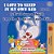 I Love To Sleep In My Own Bed (English Irish Bilingual Children's Book)-.. - Imagem 1