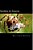 Spiders & Insects: Two Fascinating Books Combined Together Containing Facts, Trivia, Images & Memory Recall Quiz: Suitable For Adults & Children-.. - Imagem 1