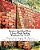 Hands To Spell-Read-write: 3 Letter Words Spelling Workbook Vol. 5 Of 5-.. - Imagem 1