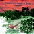 Tidepool And Mangrove Shoals Murmurs-.. - Imagem 1