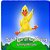 Duck's Year Of Hard Trying-.. - Imagem 1