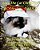 Lucy The Cat Christmas Bilingual Japanese - English-.. - Imagem 1