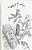 Drawings By Matt Richards: If Found Please Return To Gabrielle Auerbach-.. - Imagem 1