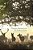 Language, Hegemony And The European Union: Re-Examining 'Unity In Diversity'-.. - Imagem 1