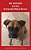 Bo Jackson And The Extremely Mean Boxers-.. - Imagem 1