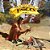 Je's Fables: Volume 3: Native American-.. - Imagem 1