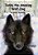 Teddy The Amazing Wolf-Dog-.. - Imagem 1