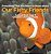 Everything That You Need To Know About Our Fishy Friends - Animal Book Age 5 Children's Animal Books-.. - Imagem 1