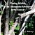 Finding Wildlife At The Chesapeake Arboretum In The Summer-.. - Imagem 1