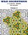 Wild Geometrics Coloring Book For Everyone: Wild Geometrics Vol.2-.. - Imagem 1