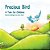 Precious Bird: A Tale For Children-.. - Imagem 1