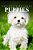 Puppies - Curious Kids Press-.. - Imagem 1
