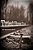 Tried Three Times: The Karmendi Story-.. - Imagem 1