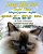 Lucy The Cat Sushi Time Bilingual Japanese - English-.. - Imagem 1
