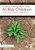 Positive Interactions With At-Risk Children: Enhancing Students' Wellbeing, Resilience, And Success-.. - Imagem 1
