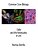 Common Core Biology Cells And The Molecules Of Life-.. - Imagem 1