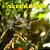 Trails Are Full Of Wildlife: A Book Of Fun Facts And Amazing Photos-.. - Imagem 1