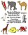 Deutsch-Afrikaans Zweisprachiges Bildwörterbuch Der Tiere Für Kinder Tweetalige Prentewoordeboek Van Diere Vir Kinders-.. - Imagem 1