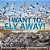 I Want To Fly Away! - Animal Migration Migrating Animals For Kids Children's Zoology Books-.. - Imagem 1