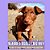 Blaidd's Really Big Day: A Fun Picture Book Adventure-.. - Imagem 1