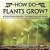 How Do Plants Grow? Botany Book For Kids Children's Botany Books-.. - Imagem 1
