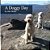 A Doggy Day-.. - Imagem 1