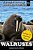 Walruses: Tusked Arctic Giants-.. - Imagem 1