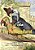 The Faithless Parrot (Simplified Chinese): 06 Paperback B&w-.. - Imagem 1