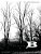Brief Wilderness: The Space Between-.. - Imagem 1