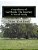 Guardians Of Ga'Hoole: The Journey A Novel Study-.. - Imagem 1