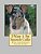 I Want A Pet Smooth Collie: Fun Learning Activities-.. - Imagem 1