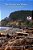 The Oceanview Matter-.. - Imagem 1