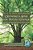 Growing A Soul For Social Change: Building The Knowledge Base For Social Justice (Pb)-.. - Imagem 1