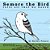 Semore The Bird Tells All That He Heard-.. - Imagem 1