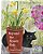 Beyond The Flower Pots: A Harrogate Adventure-.. - Imagem 1
