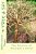 Tree & Sky: The Secrets Of Meshyah's World-.. - Imagem 1