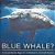 Have You Ever Seen A Blue Whale? Animal Book Age 4 Children's Animal Books-.. - Imagem 1