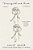 Marigold And Rose: A Fiction-.. - Imagem 1