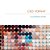 Ced Vernay - Homo Digitalis: Voyage Dans L'Hemisphere Droit 2017-.. - Imagem 1